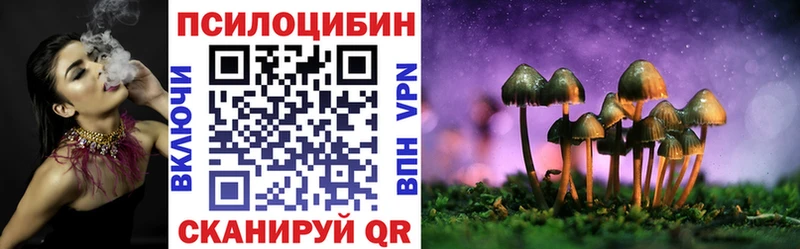 Псилоцибиновые грибы мухоморы  где купить наркотик  Усть-Джегута 